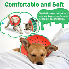 Cneo soft fabric donut collar close-up highlights non-stick comfortable material.