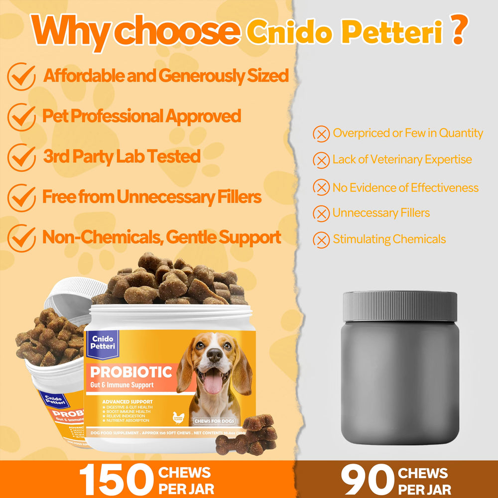 Cnido Petteri itchy-skin relief chews illustrate coat health through gut balance.