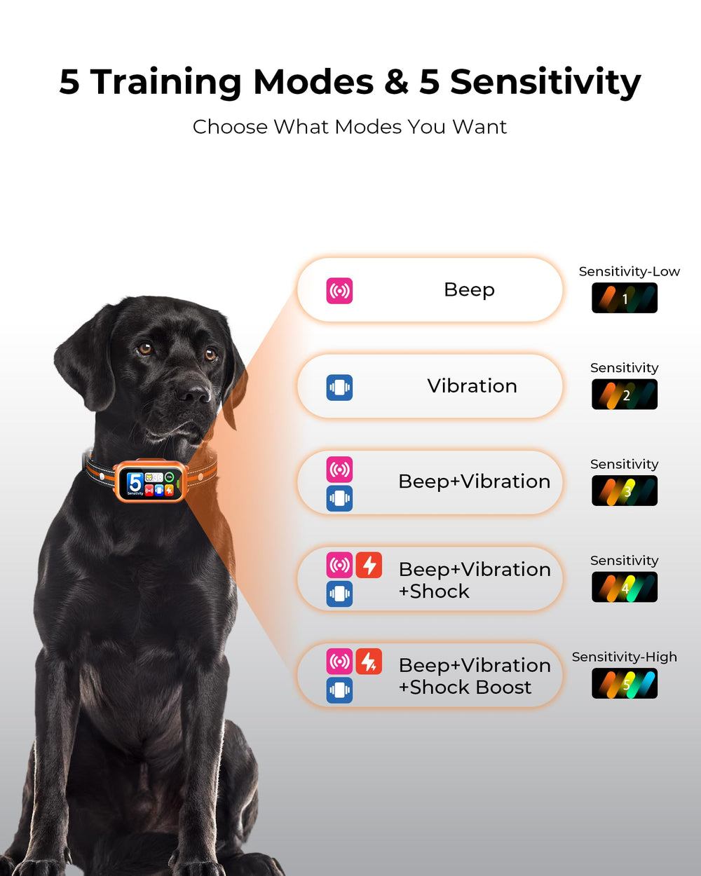 Cnyrbt dog bark collar real-time bark counter for progress tracking