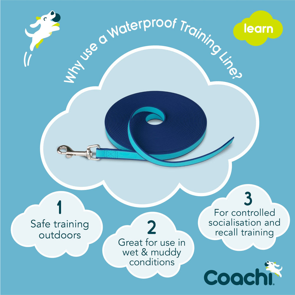 Coachi Training Line recall practice in open spaces for safer training.