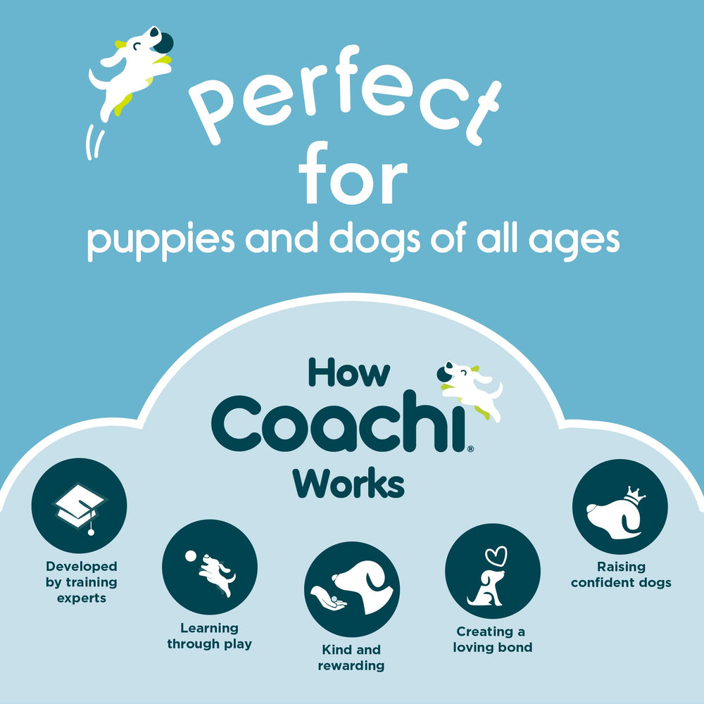 Coachi Training Line two-tone design on a dog in use.