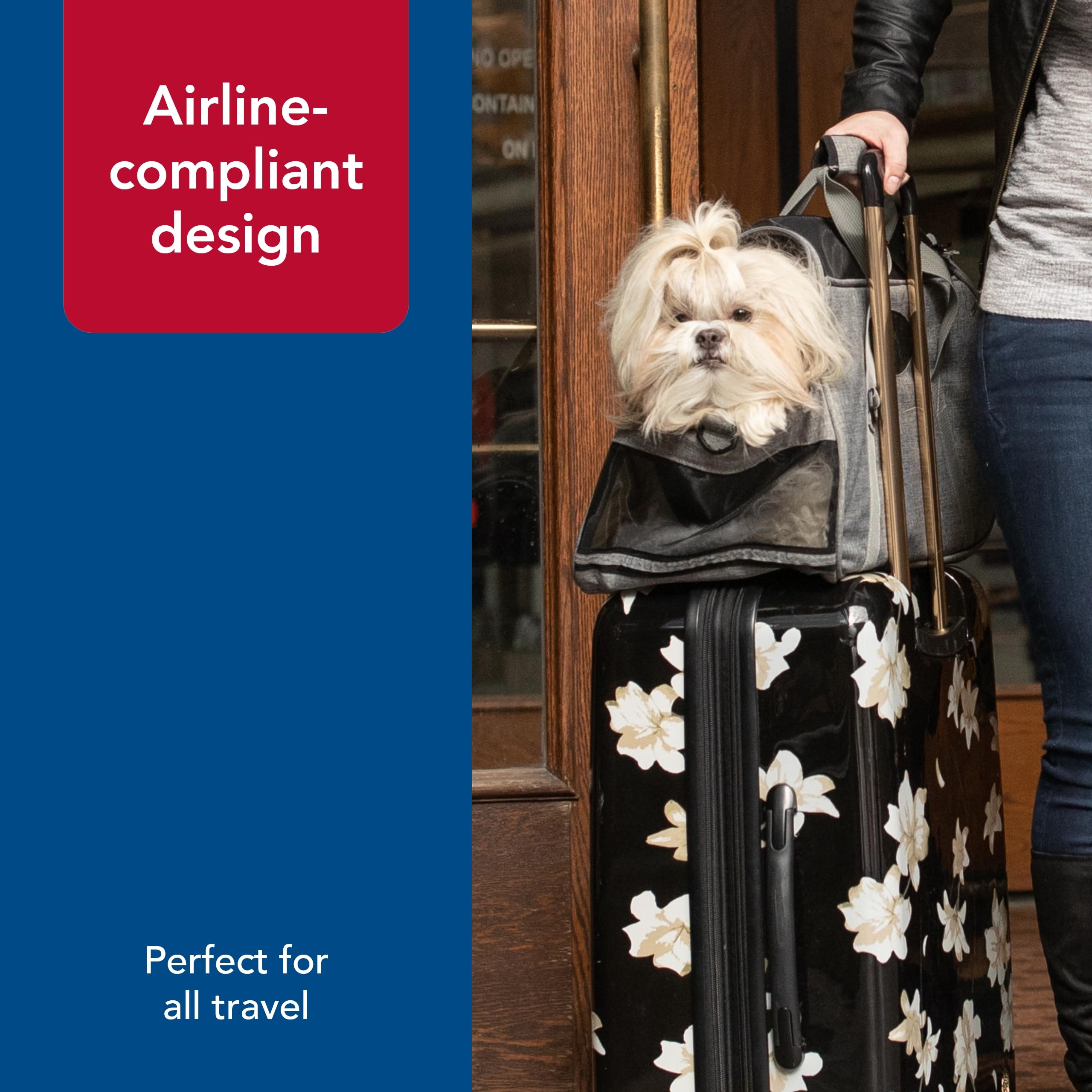 Coastal Bergan Comfort Carrier seatbelt-loop enhances secure car travel.