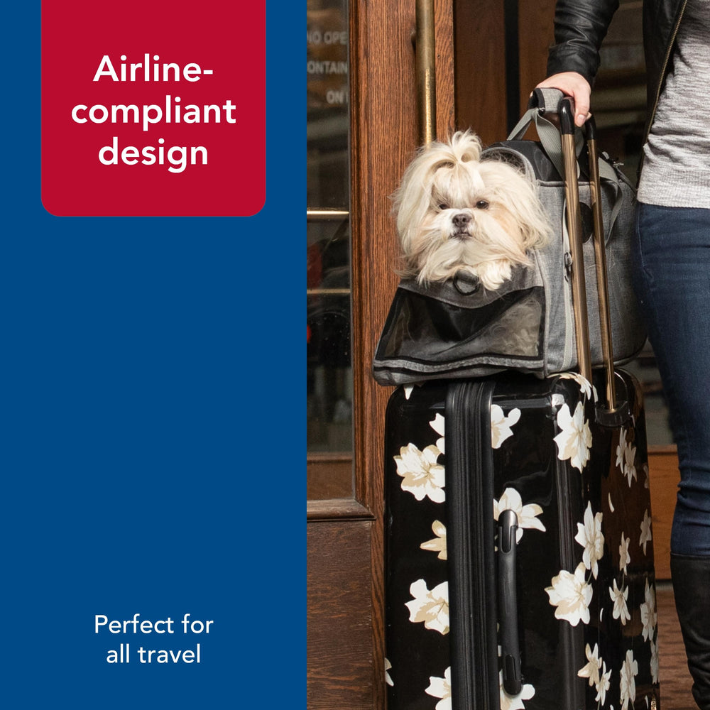 Coastal Bergan Comfort Carrier seatbelt-loop enhances secure car travel.