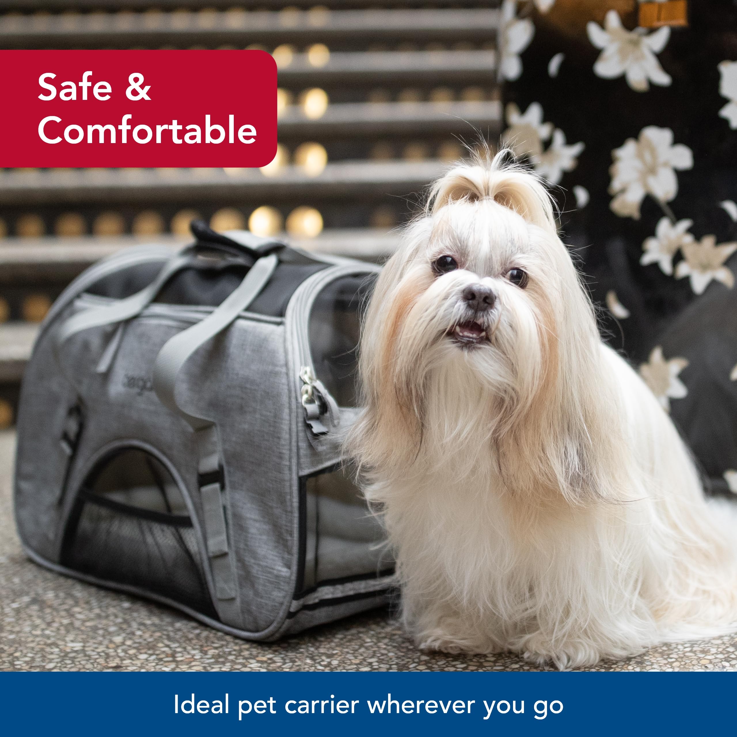 Coastal Bergan Comfort Carrier size 19x10x13 highlights roomy travel space.