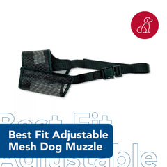Coastal Best Fit Soft Nylon Strap provides a secure, comfortable fit.