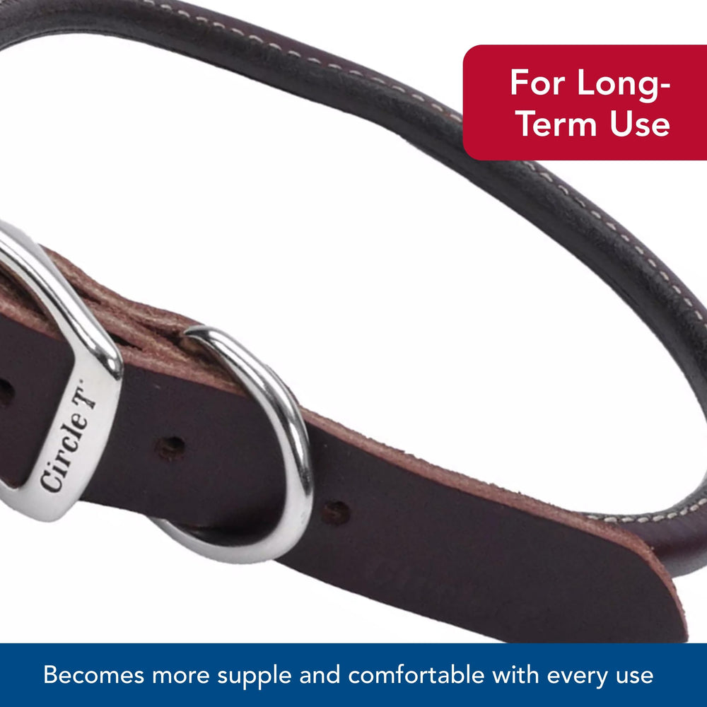 Coastal Circle T Latigo leather collar buckle close-up, illustrating secure hardware and craftsmanship.