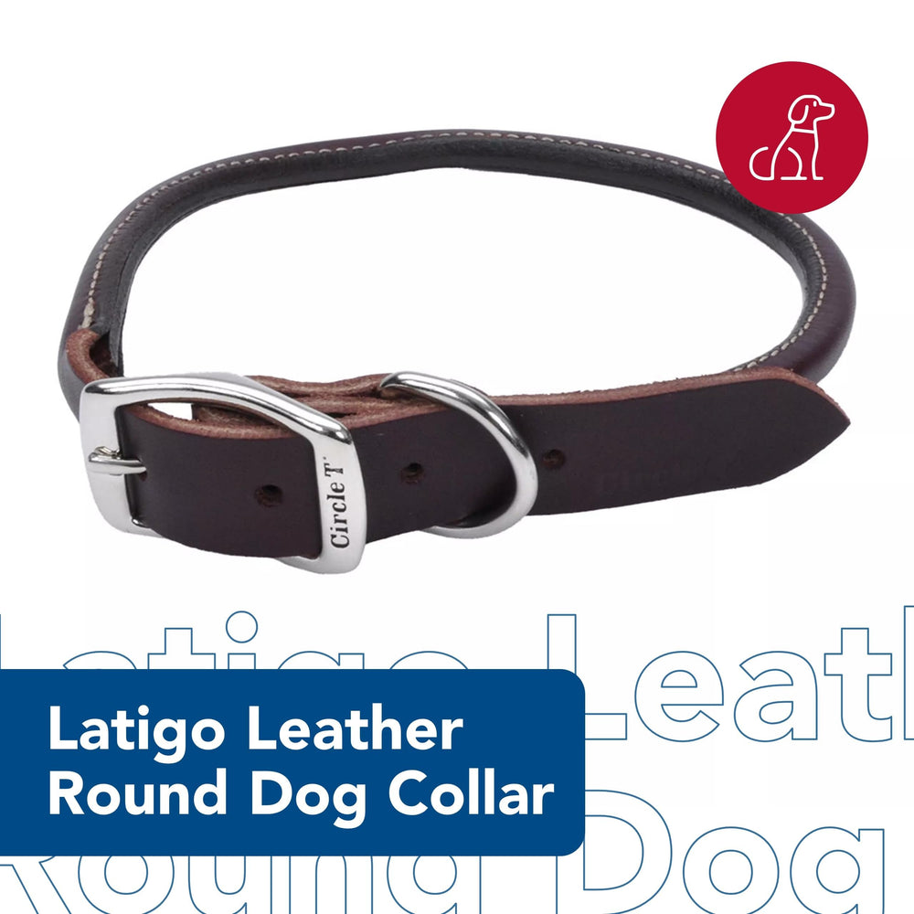 Coastal Circle T Latigo Leather Round Dog Collar brass hardware detail adds polished style.