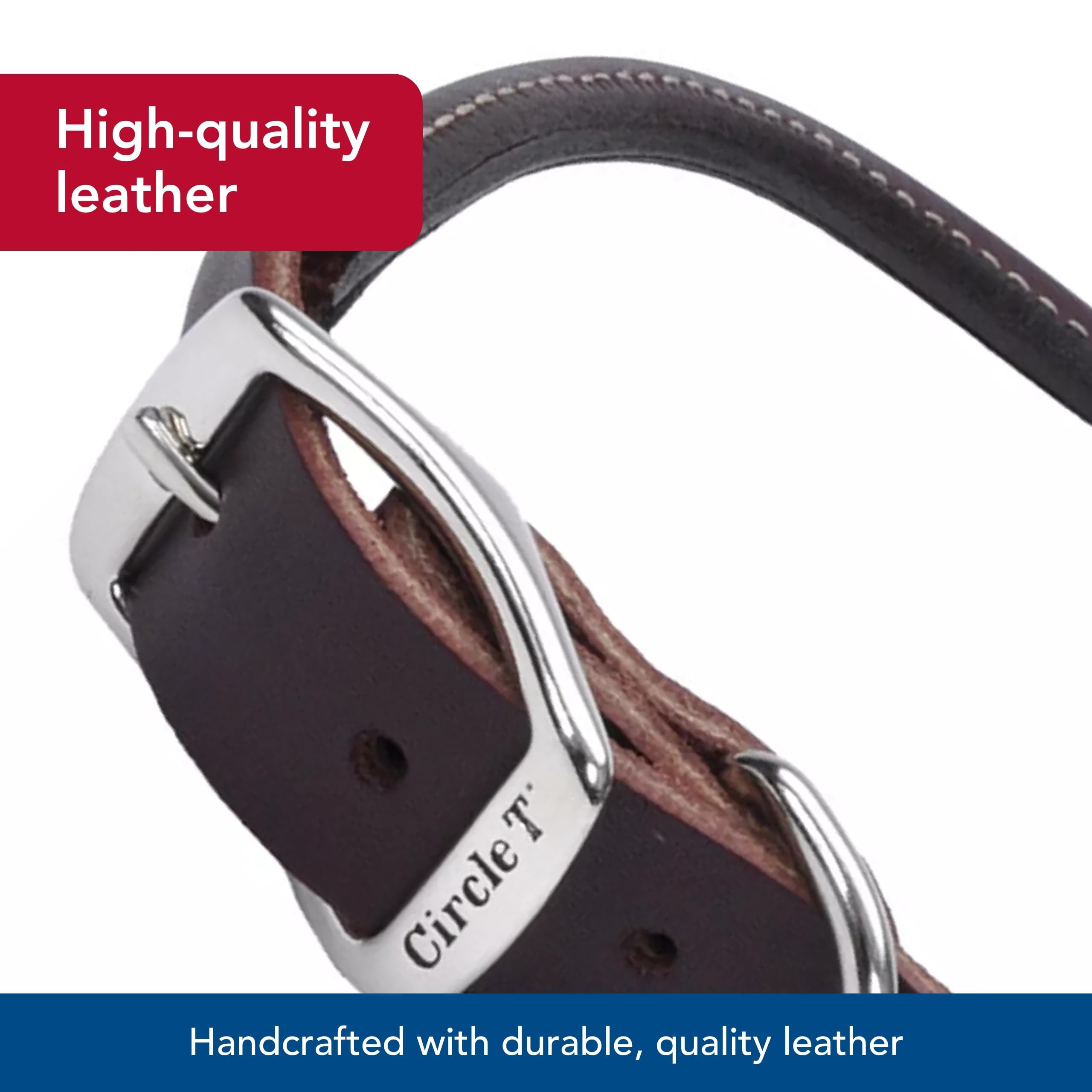 Coastal Circle T Latigo Leather Round Dog Collar closeup highlights supple aging leather.