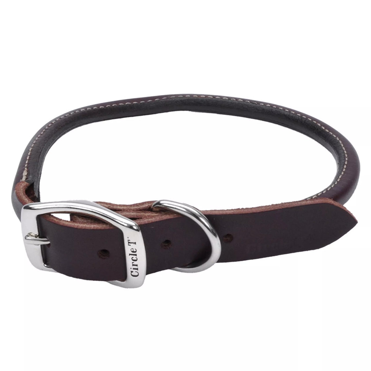 Coastal Circle T Latigo round dog collar closeup showing durable leather and rich color