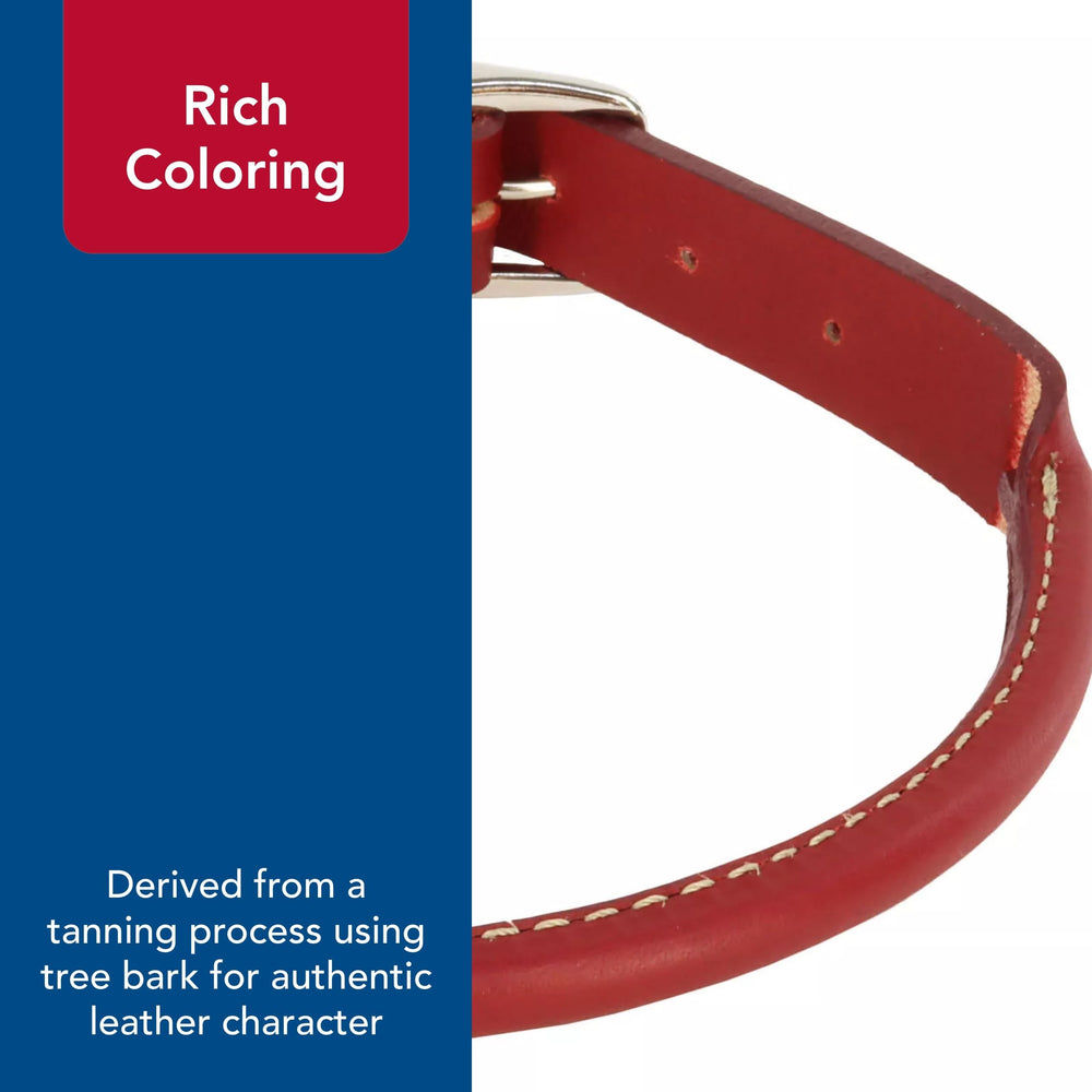 Coastal Circle T Oak Round Collar buckle close-up emphasizes safety and adjustability