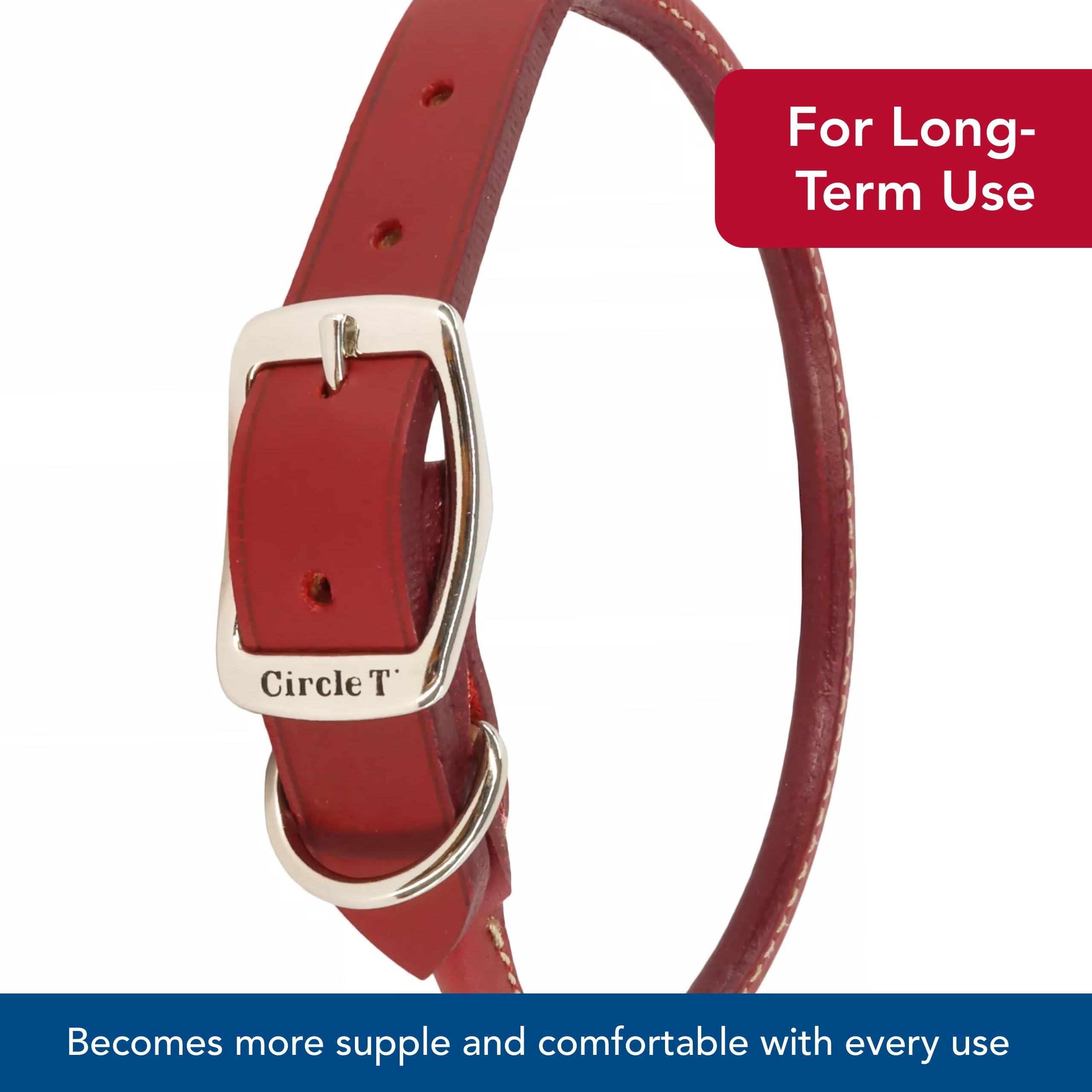Coastal Circle T Oak Round Collar lifestyle shot highlights premium leather