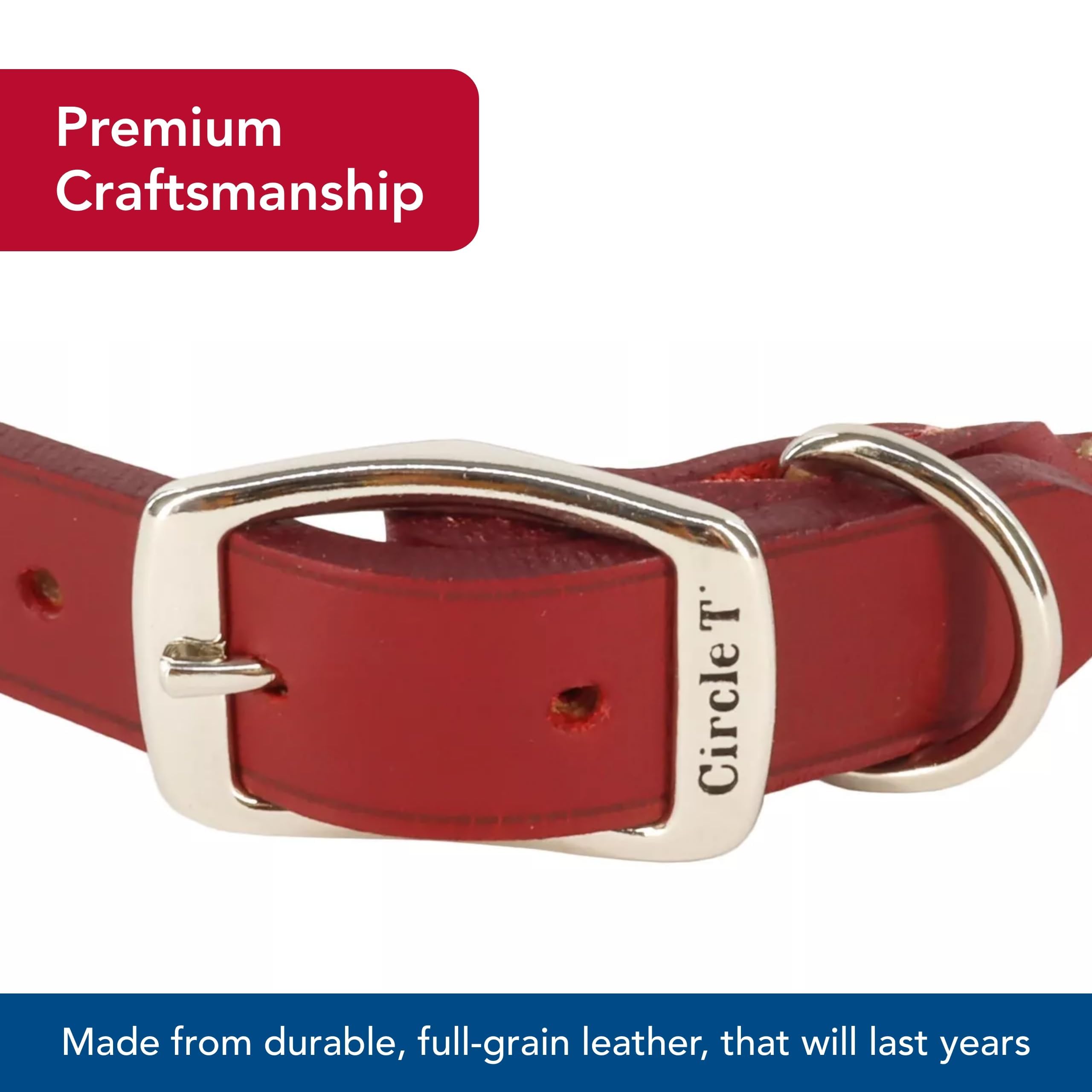 Coastal Circle T Oak Round Collar worn by dog during activity demonstrates secure fit