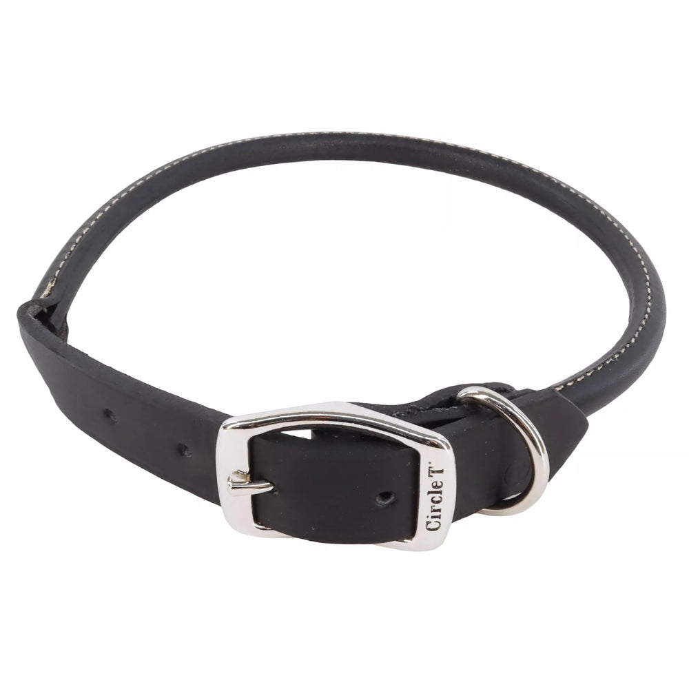 Coastal Pet Circle T Oak Tanned leather round collar close-up showing rich texture for long-haired dogs