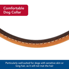 Coastal Circle T Oak Tanned Leather Round Dog Collar long-hair friendly comfort during walks