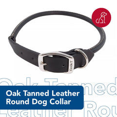 Coastal Circle T Oak Tanned Leather Round Dog Collar on dog highlights long hair friendly fit.