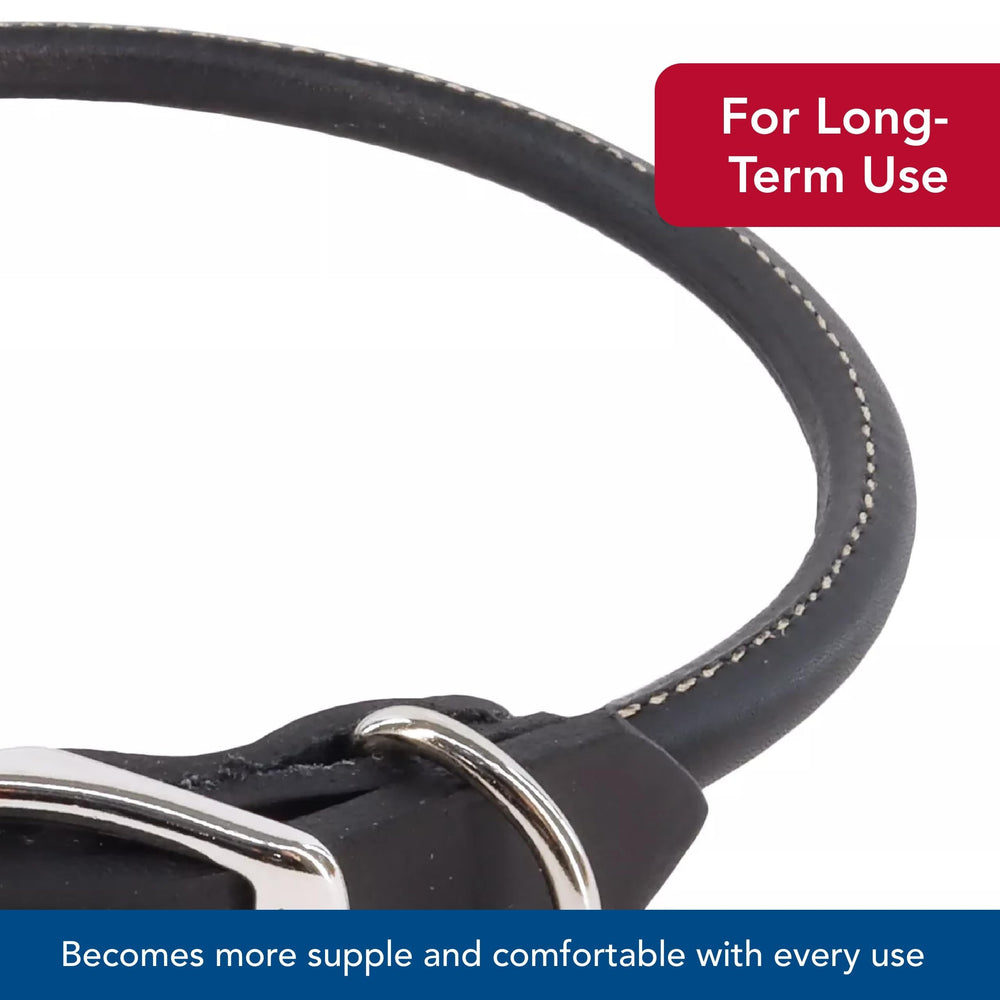 Coastal Circle T Oak Tanned Leather Round Dog Collar packaging and gifting ready presentation.
