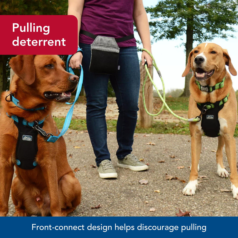 Coastal K-9 Explorer adjustable fit ensures secure sizing from 26 to 38 inches.