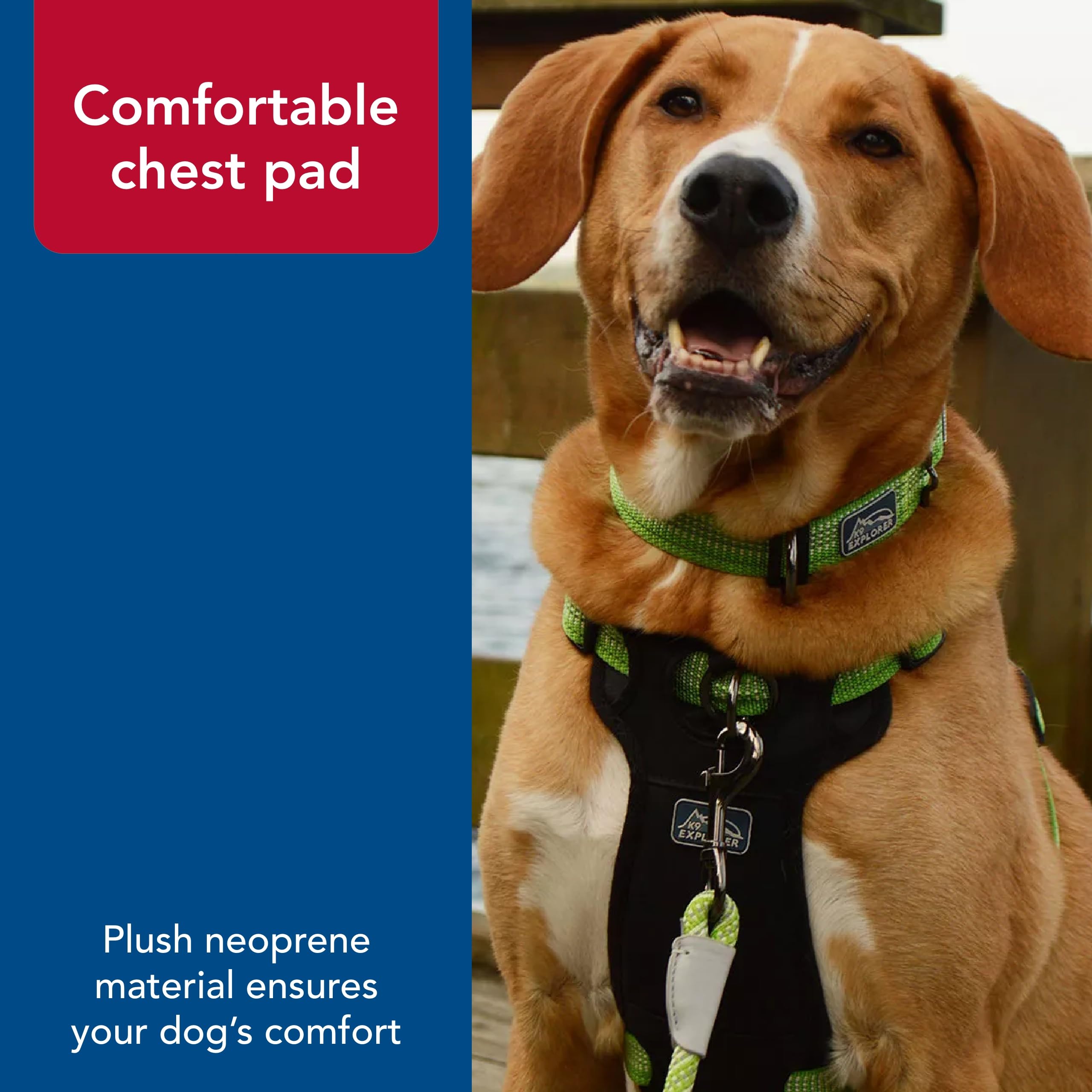 Coastal K-9 Explorer durable material stands up to rugged outdoor adventures.