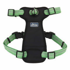 Coastal K-9 Explorer harness closeup shows meadow design and front-connection.