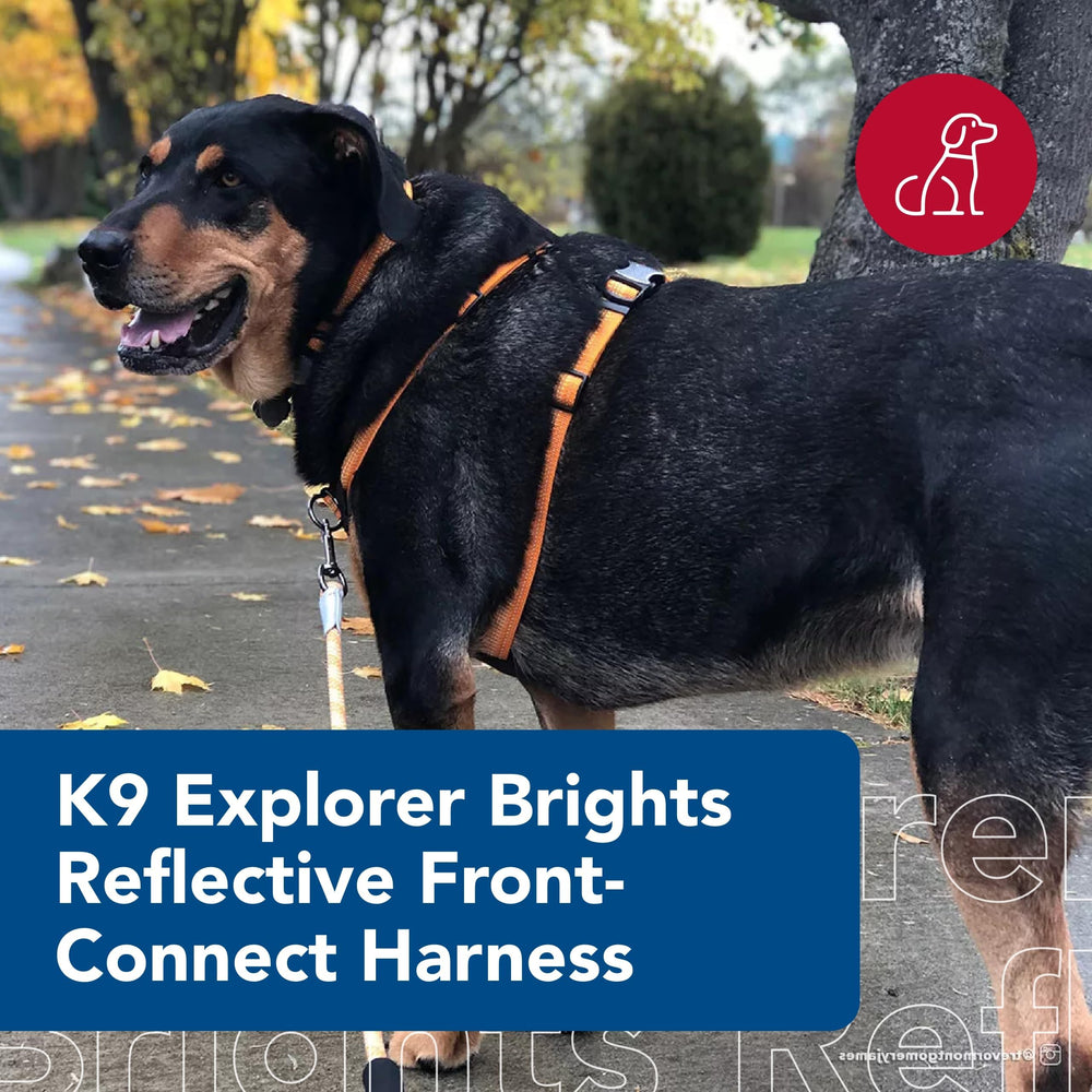 Coastal K-9 Explorer adjustable fit ensures comfortable daily wear