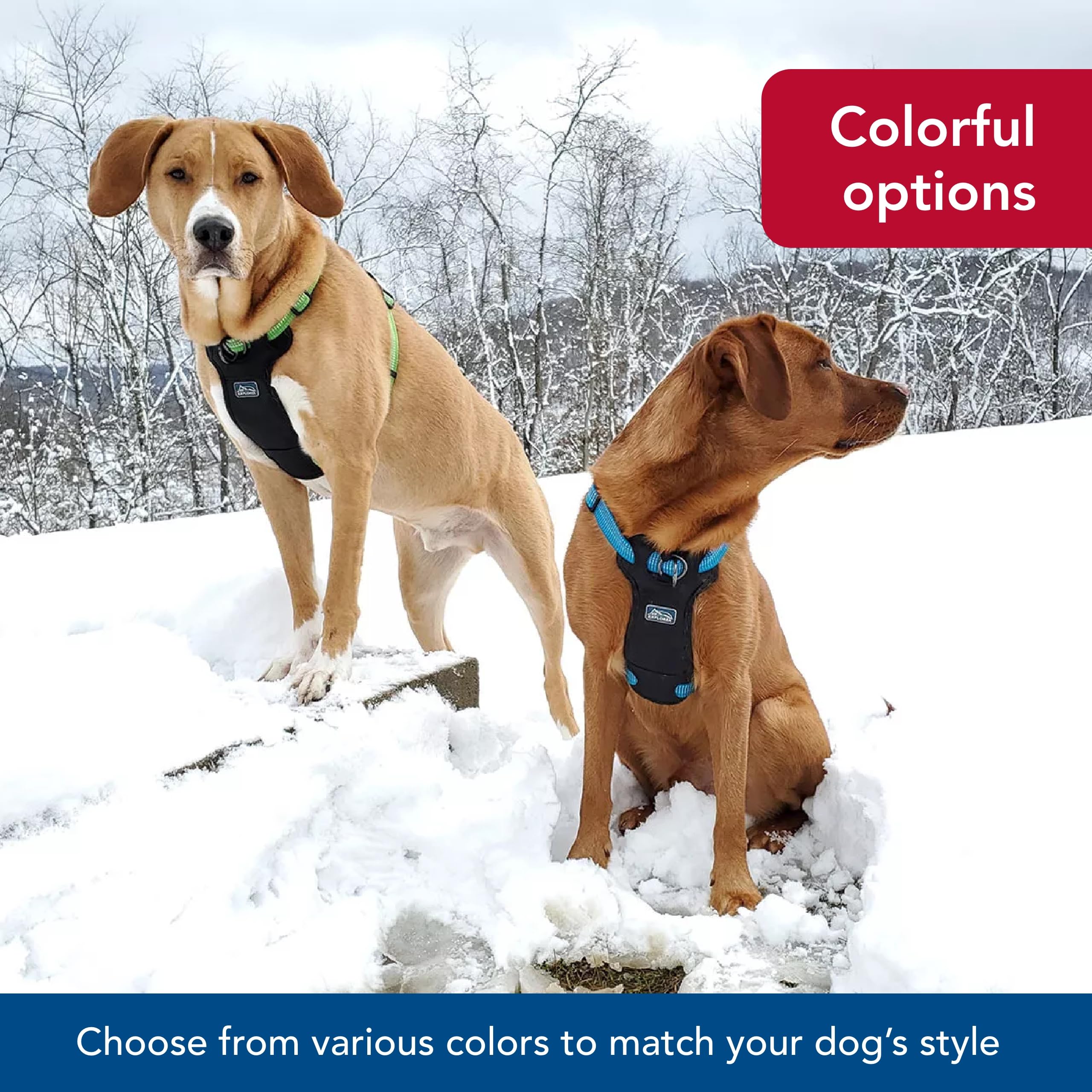 Coastal K-9 Explorer desert color harness designed for outdoor adventures