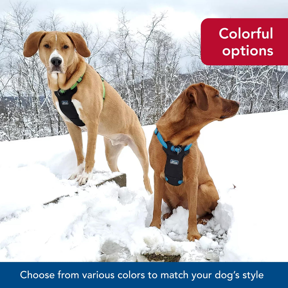 Coastal K-9 Explorer desert color harness designed for outdoor adventures