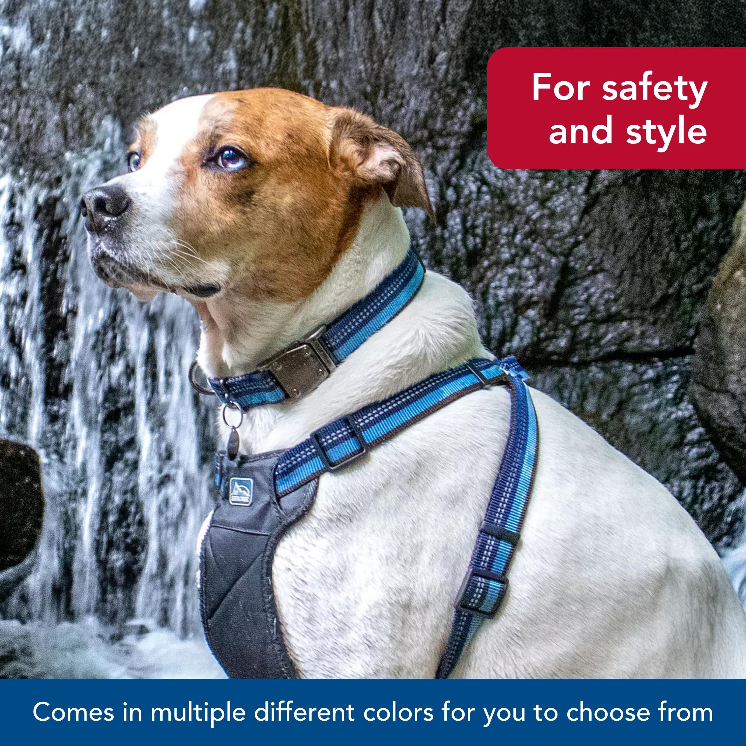 Coastal K9 Explorer outdoor adventure collar designed for durable everyday wear