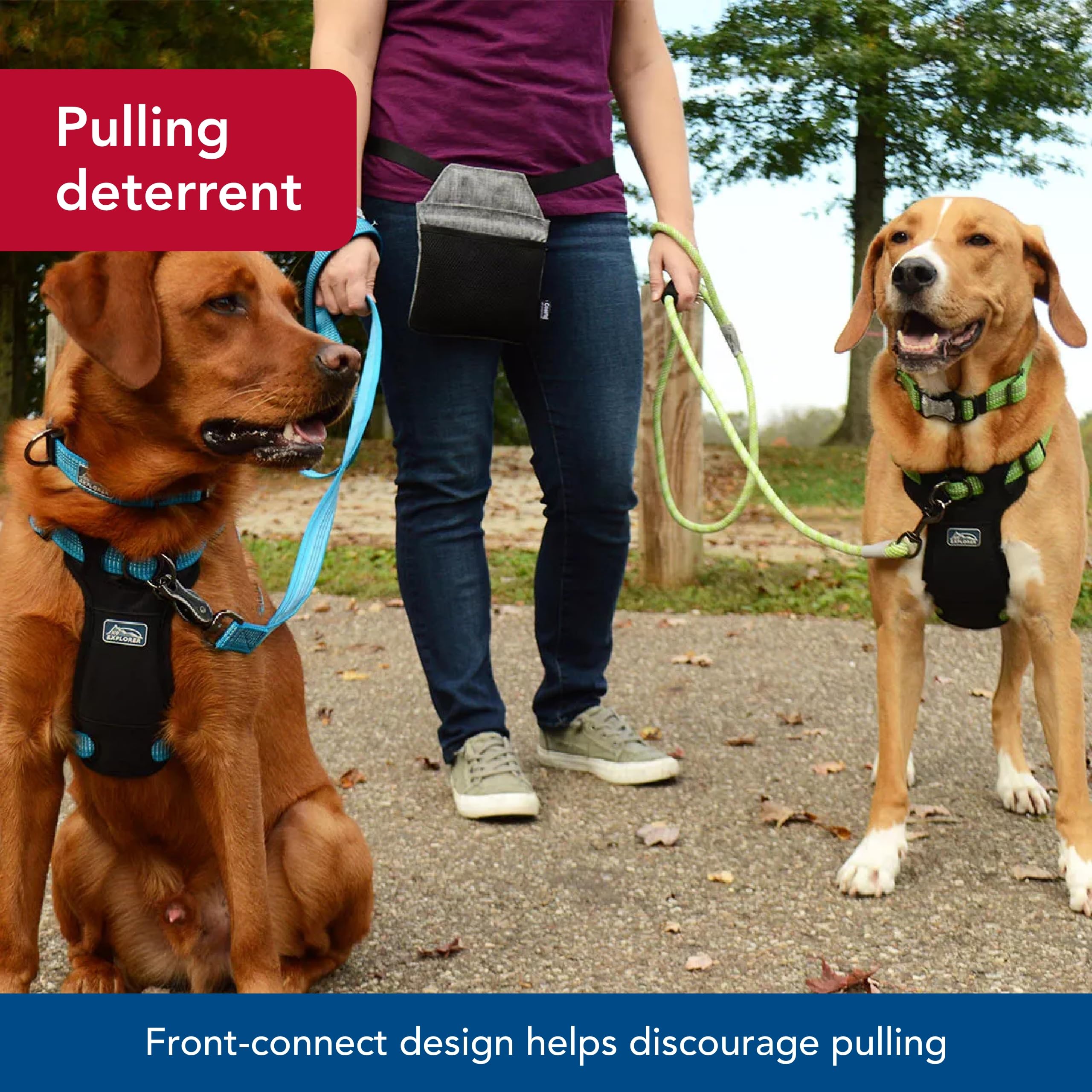 Coastal K-9 Explorer plush chest pad neoprene provides soft cushioning during wear