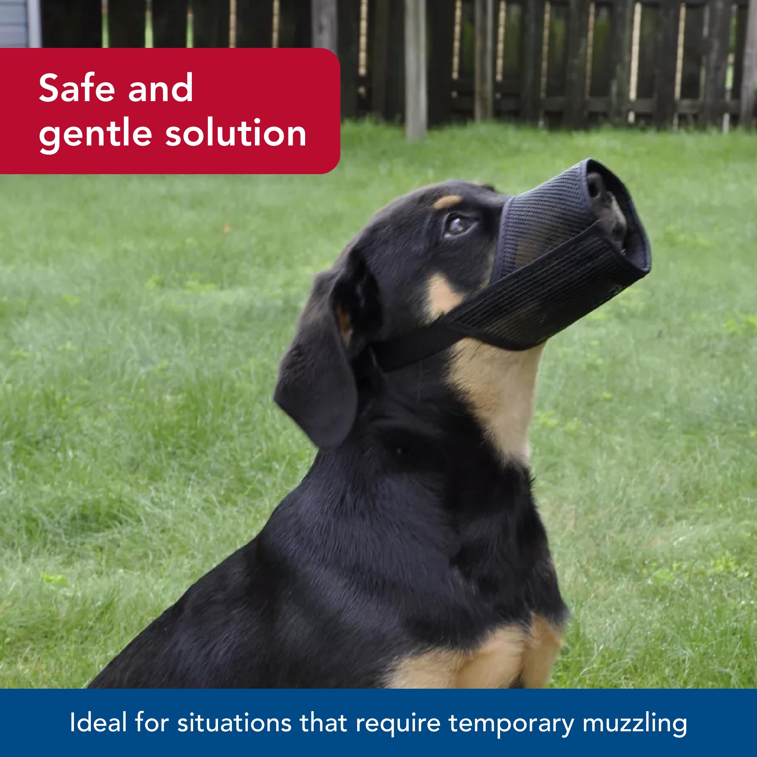 Coastal Mesh Dog Muzzle offers air circulation to help keep dogs comfortable.
