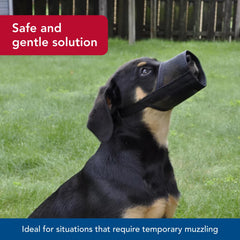 Coastal Mesh Dog Muzzle offers air circulation to help keep dogs comfortable.