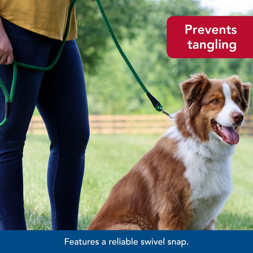 Coastal Pet cares about safety and durability in every sturdy nylon leash.