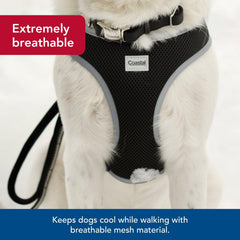 Coastal Pet breathable mesh fabric keeps dogs cool during long walks