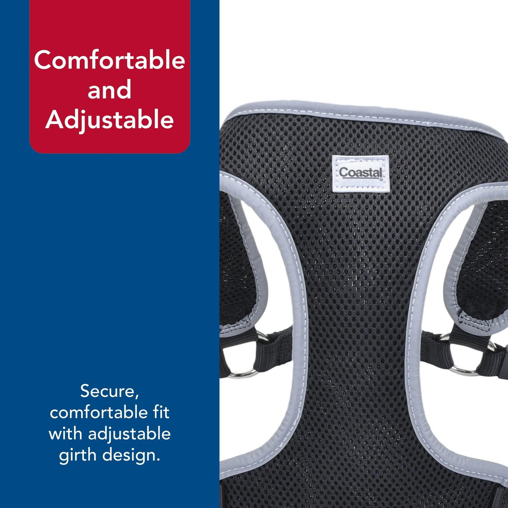 Coastal Pet Comfort Soft Wrap harness demonstrates breathable mesh for cooler outings.
