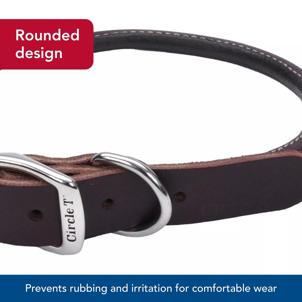Coastal Pet Circle T Latigo leather round dog collar stitch detail highlights craftsmanship