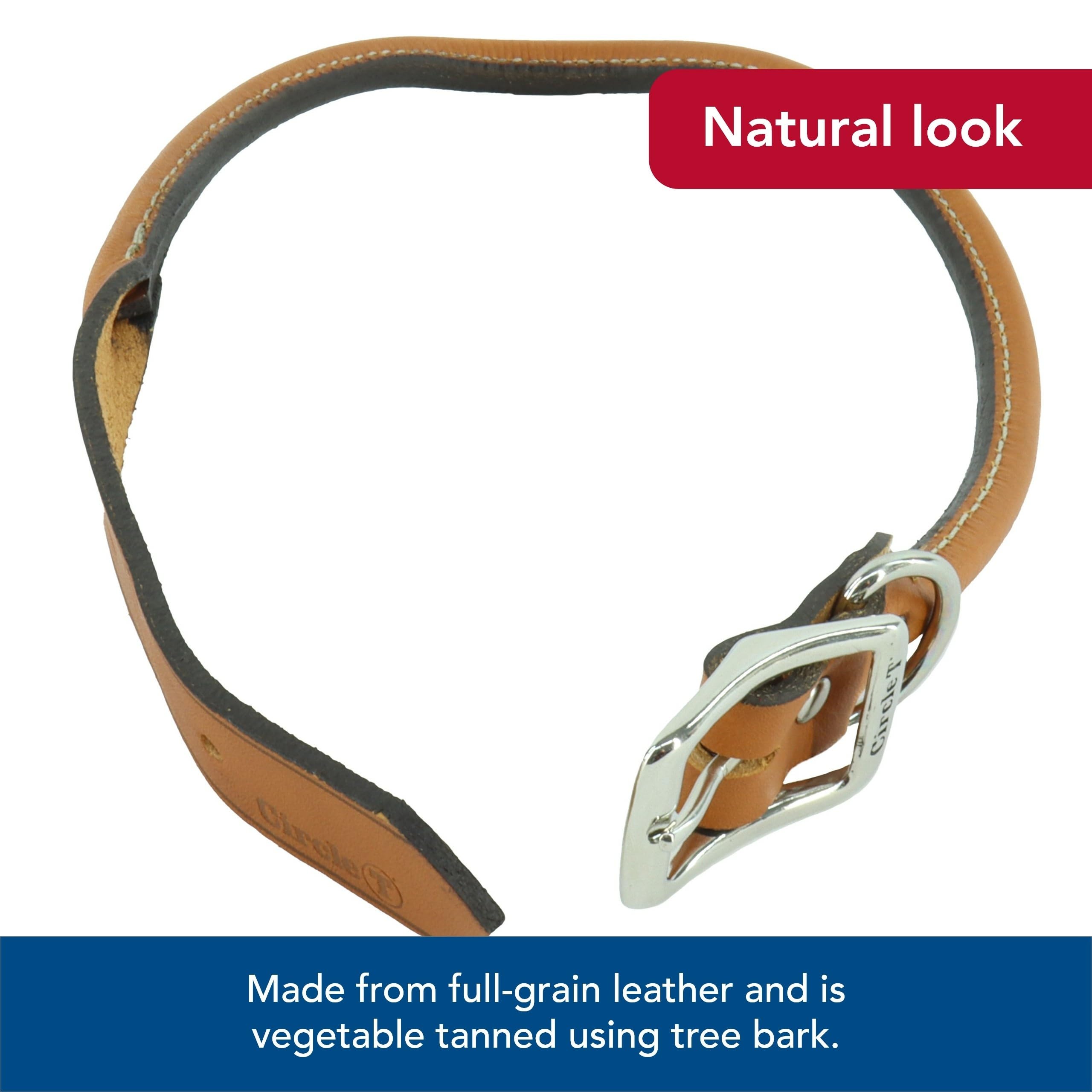 Coastal Pet Circle T Oak Tanned Leather Round Collar 1-inch width for secure daily walks.
