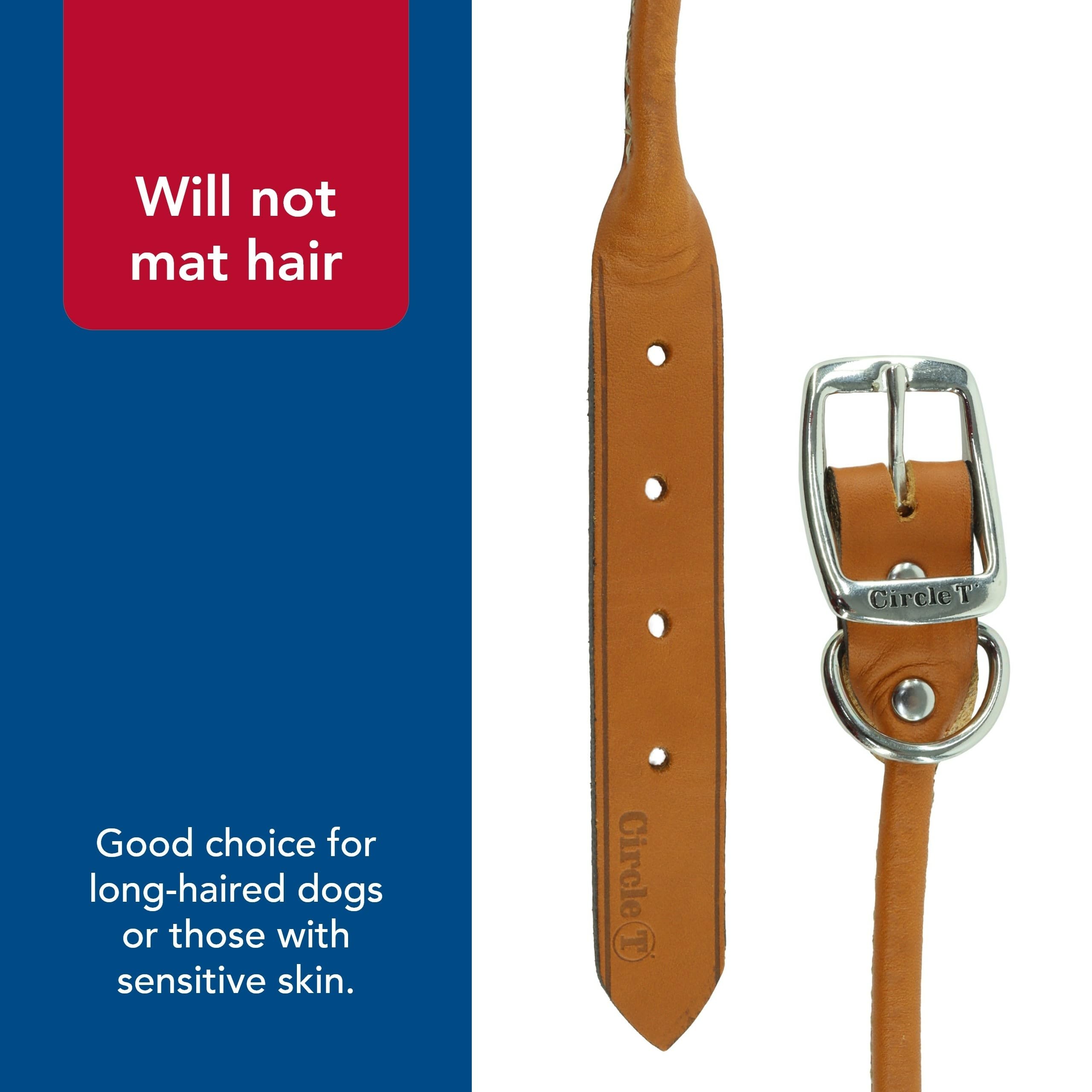 Coastal Pet Circle T Oak Tanned Leather Round Collar adjustable fit demonstrated on dog.