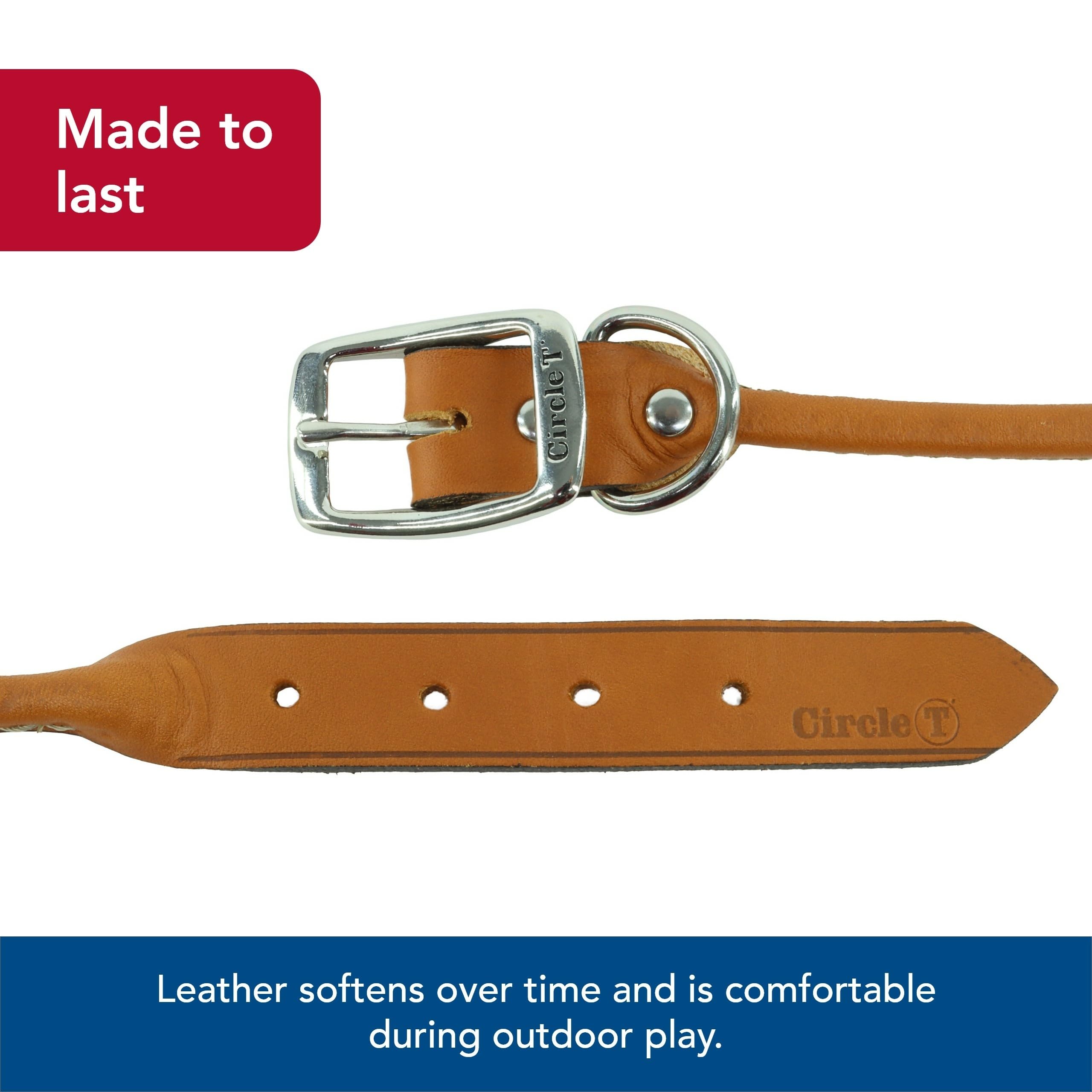 Coastal Pet Circle T Oak Tanned Leather Round Collar full-grain leather close look for everyday wear.