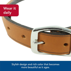 Coastal Pet Circle T Oak Tanned Leather Round Collar in tan shade on sunlit outdoors.