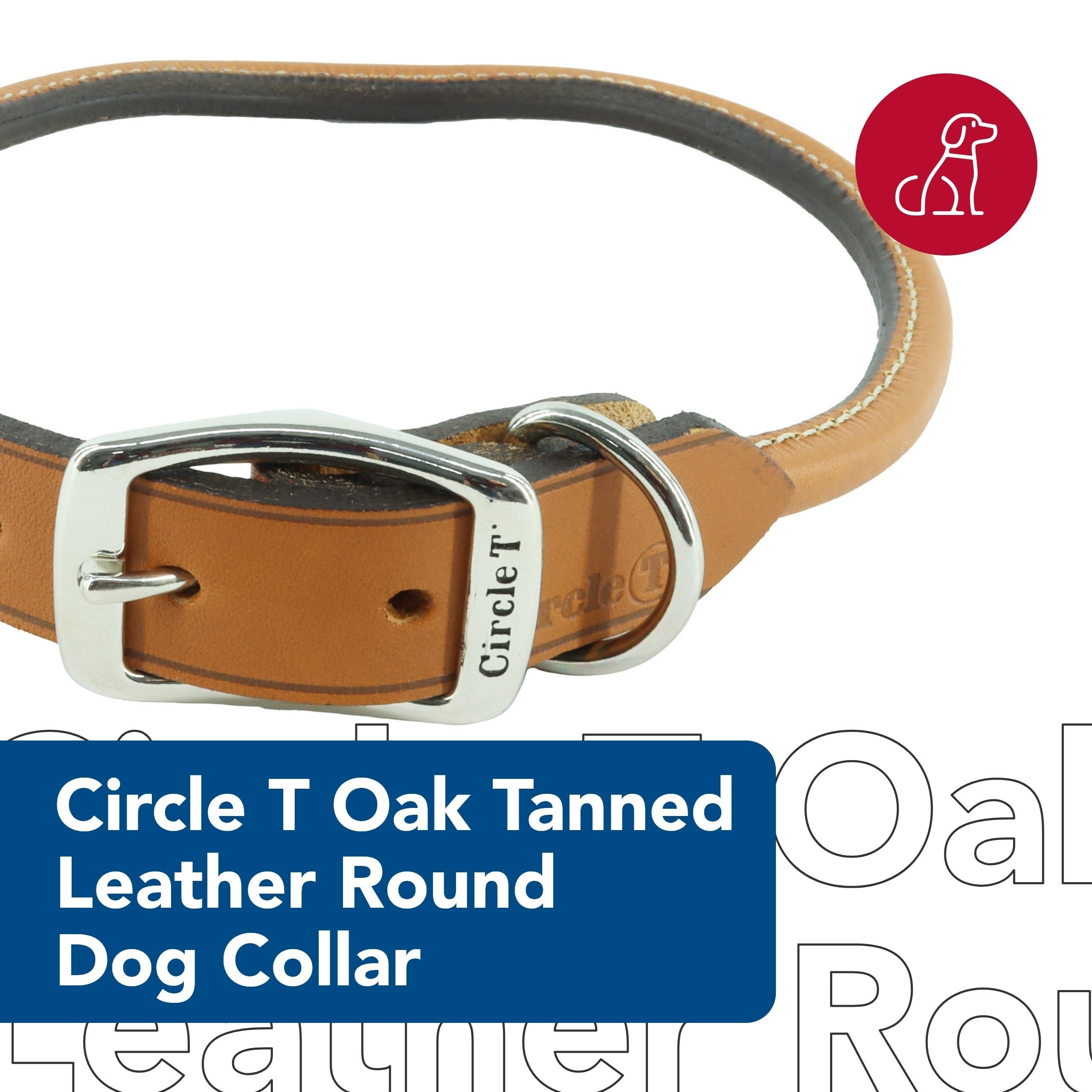 Coastal Pet Circle T Oak Tanned Leather Round Collar texture detail emphasizes premium full-grain leather.