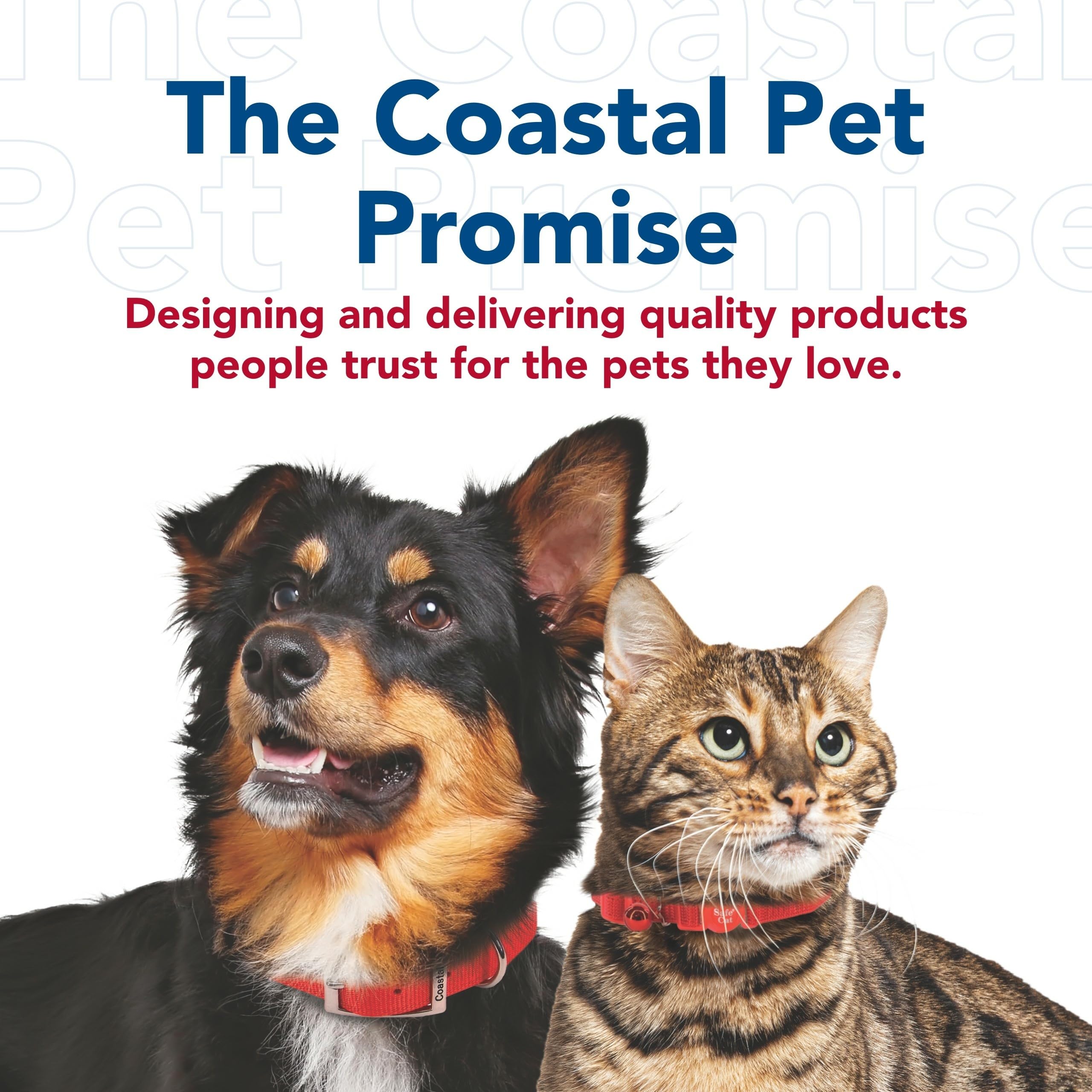 Coastal Pet lime collar with 1-inch width fits a range of dog necks.