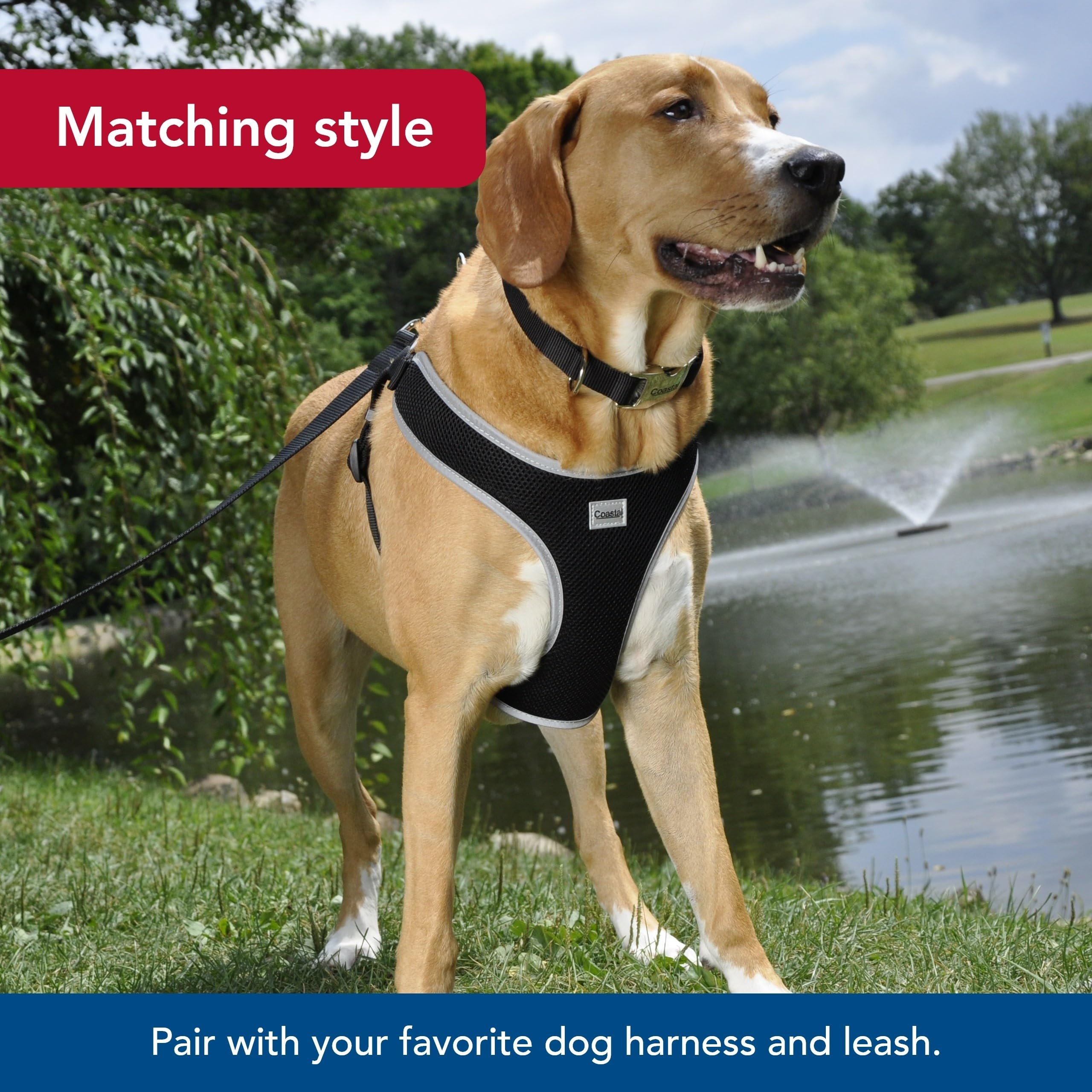 Coastal Pet durable fade-resistant collar supports reliable walks and tie-outs.
