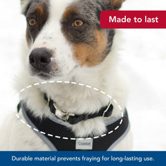 Coastal Pet lime adjustable collar highlights fade-resistant material for everyday wear.