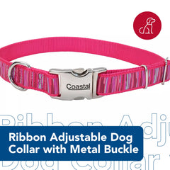 Coastal Pink Flamingo Stripe collar close-up shows vivid, stylish screen-printed design.