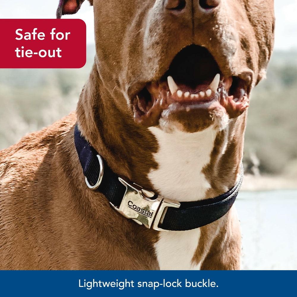 Coastal Pet collar shows comfortable adjustability ideal for long walks.