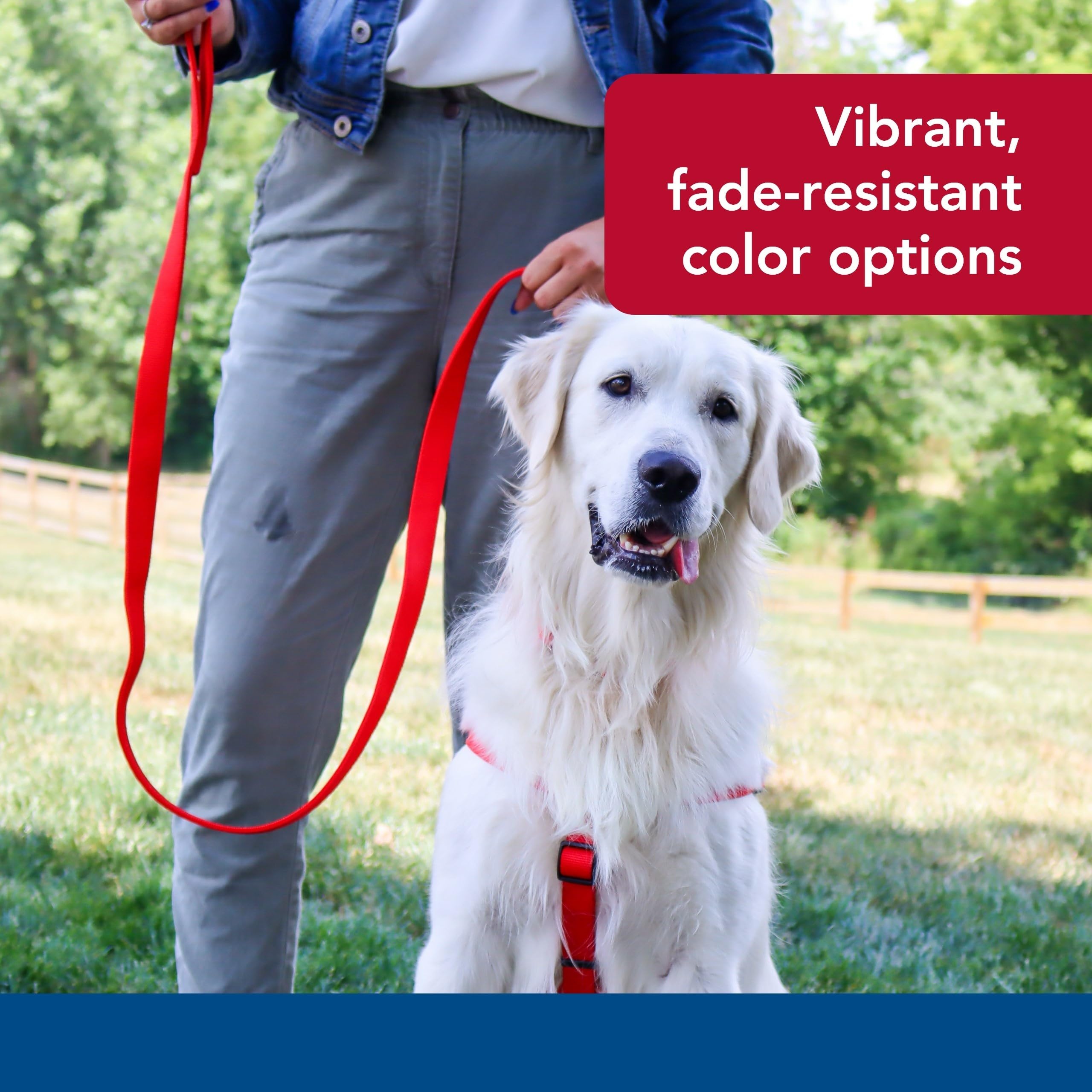 Coastal Pet color options improve safety and style on walks.