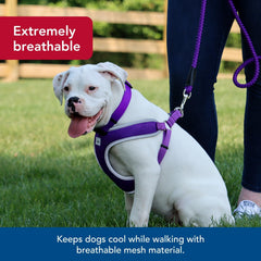 Coastal Pet Comfort Soft Reflective Wrap breathable mesh keeps dogs cool on walks