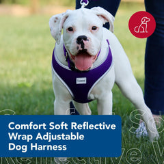 Coastal Pet Comfort Soft Reflective Wrap dual D-rings close-up highlights extra strength