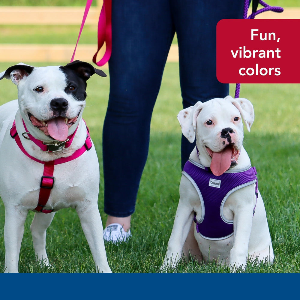 Coastal Pet Comfort Soft Reflective Wrap worn at the park for no-pull guidance