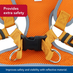 Coastal Pet Comfort Soft Reflective Wrap breathable mesh keeps dogs cool on long walks