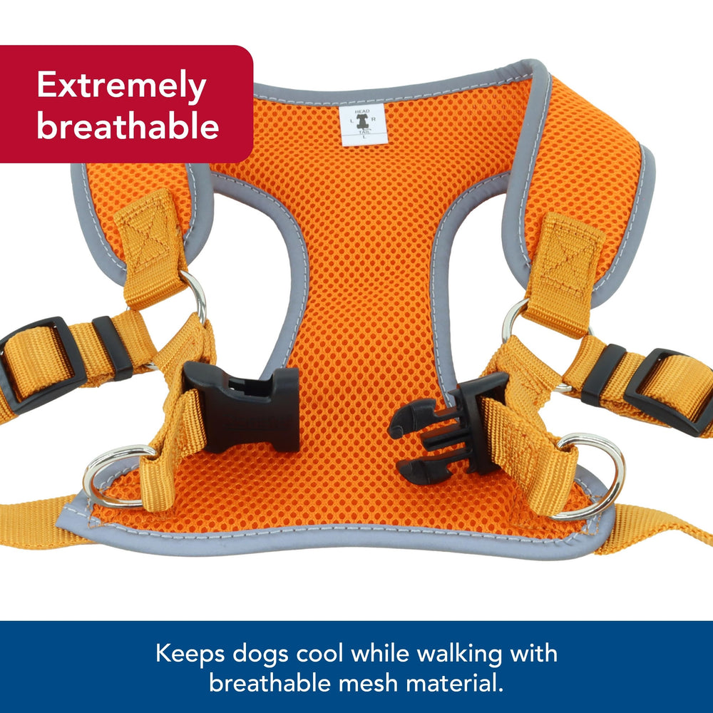 Coastal Pet Comfort Soft Reflective Wrap dual D-rings closeup highlights extra strength for control